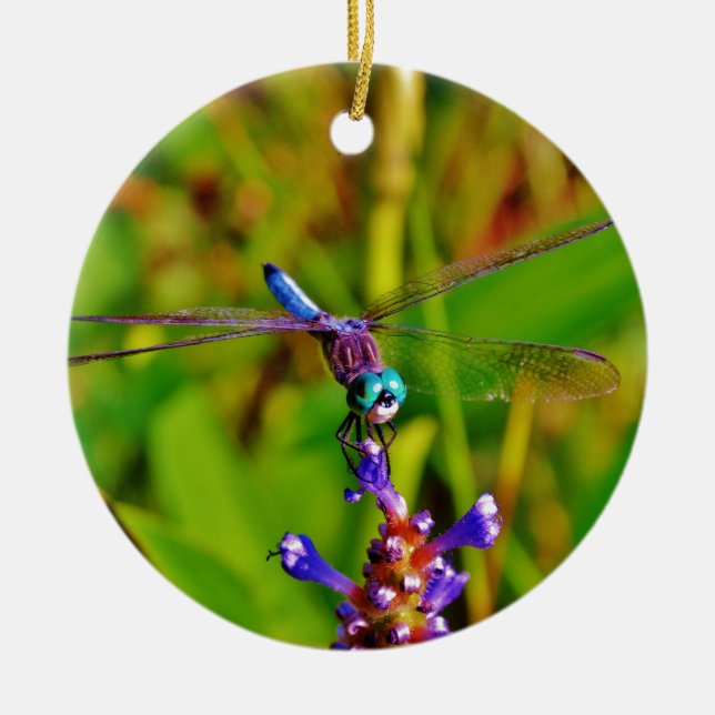 Teal Rainbow Dragonfly Ceramic Tree Decoration (Front)
