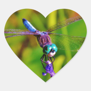 Teal Rainbow Dragonfly Heart Sticker