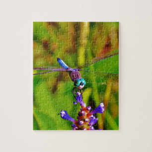 Teal Rainbow Dragonfly Jigsaw Puzzle