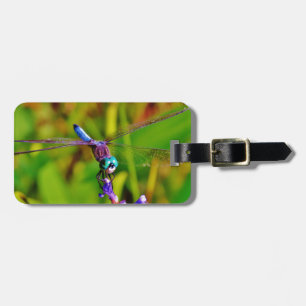 Teal Rainbow Dragonfly Luggage Tag