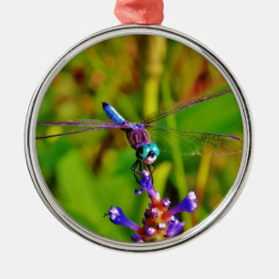 Teal Rainbow Dragonfly Metal Ornament