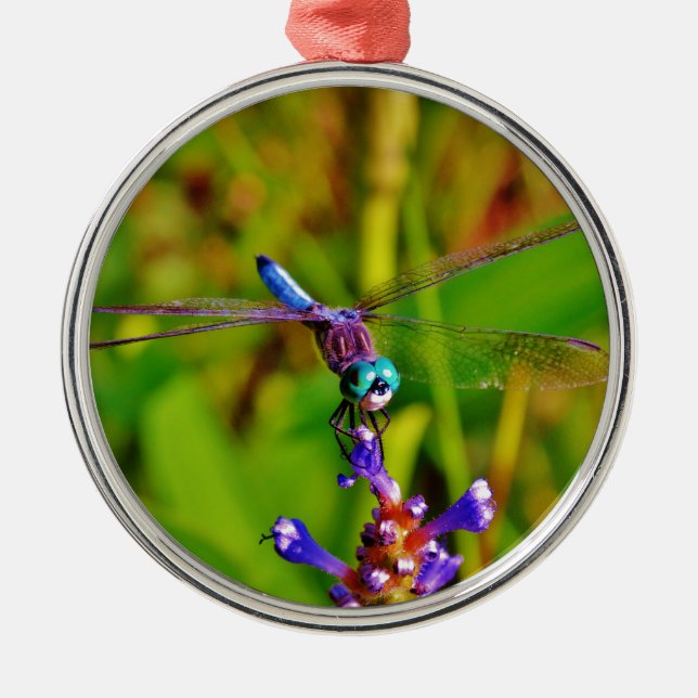 Teal Rainbow Dragonfly Metal Ornament (Front)