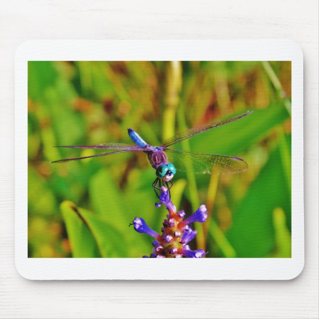 Teal Rainbow Dragonfly Mouse Pad (Front)
