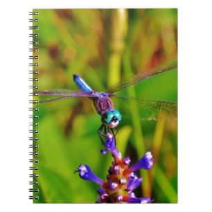 Teal Rainbow Dragonfly Notebook