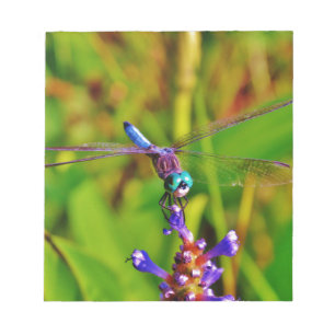 Teal Rainbow Dragonfly Notepad