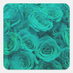 teal roses square sticker