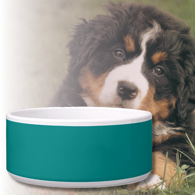 Teal Solid Colour | Classic | Elegant (Creator Uploaded)