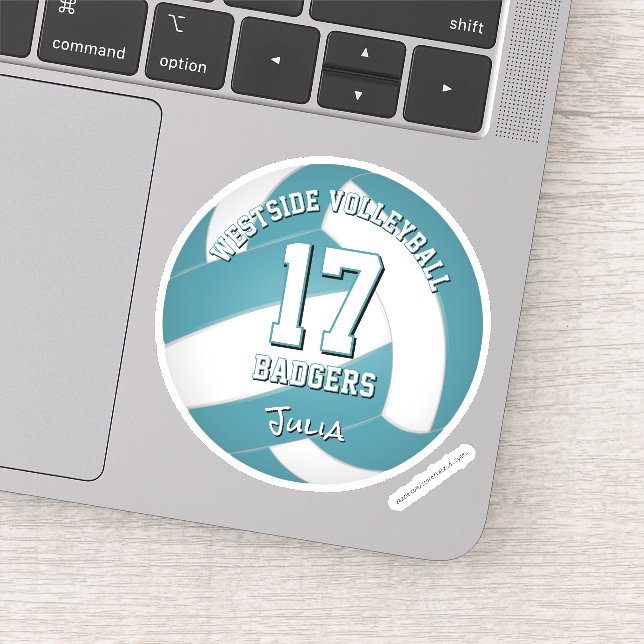 teal team colours volleyball buy 1 or buy in bulk (Detail)