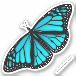 teal turquoise blue butterfly