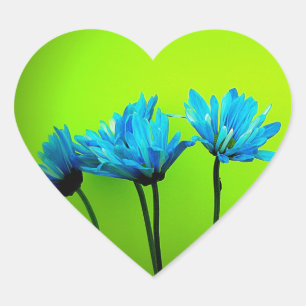 Teal Turquoise Daisies on Lime Green Flowers Gifts Heart Sticker