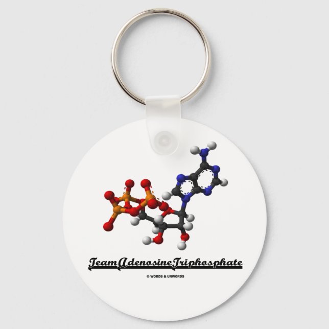 Team Adenosine Triphosphate (ATP) Key Ring (Front)