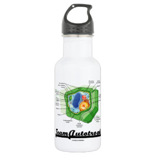 Team Autotroph (Plant Cell Biology) 532 Ml Water Bottle