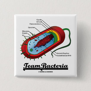 Team Bacteria (Prokaryote) 15 Cm Square Badge