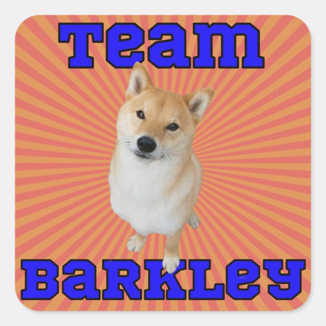 Team Barkley - Square Stickers, Glossy Sticker (Front)