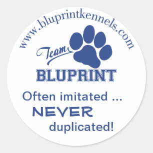 Team BluPrint Sticker: Often Imitated Never Dup... Classic Round Sticker