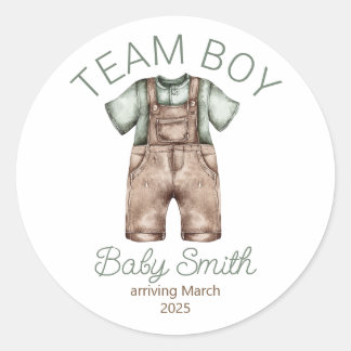 Team Boy gender reveal Christmas baby sticker