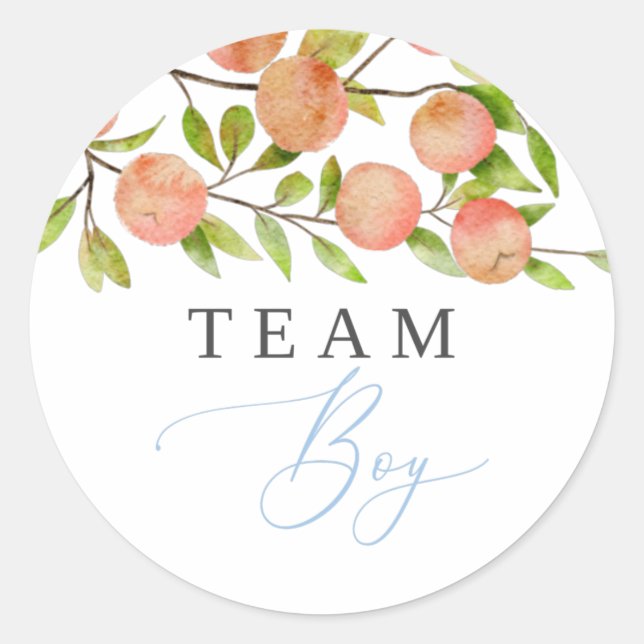Team Boy Gender Reveal Party Vote Peach Classic Round Sticker (Front)