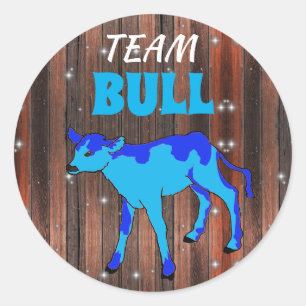 "Team Bull" Calf Gender Reveal Classic Round Sticker