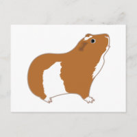 TEAM CAVY