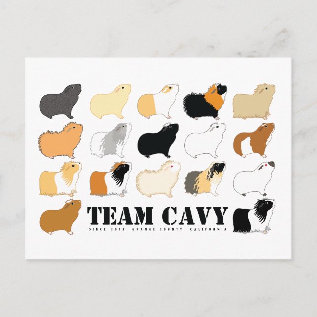 TEAM CAVY POSTCARD (Front)