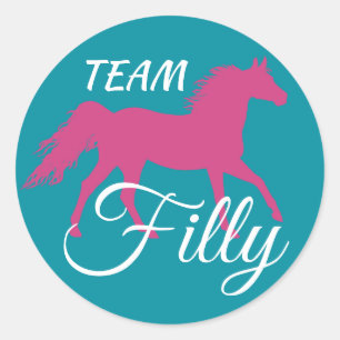 "Team Filly" Pink Gender Reveal Classic Round Sticker