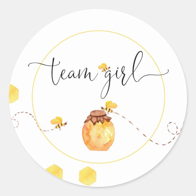 Team Girl Bee Theme Gender Reveal Stickers (Front)