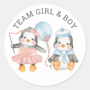 Team Girl & Boy. Twin gender reveal. Voting game Classic Round Sticker