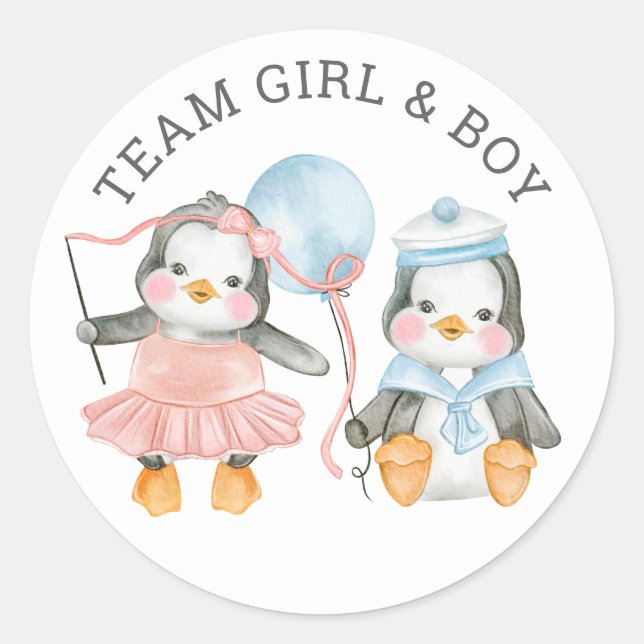 Team Girl & Boy. Twin gender reveal. Voting game Classic Round Sticker (Front)