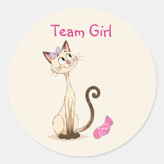 Team Girl Gender Reveal / Cute Clara Cat Classic Round Sticker
