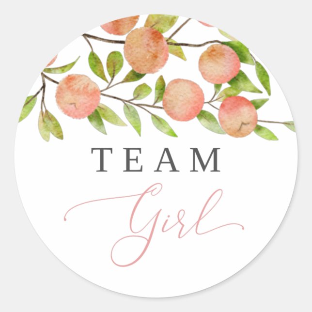 Team Girl Gender Reveal Party Vote Peach Classic Round Sticker (Front)
