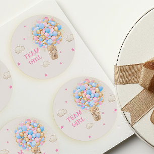 Team Girl Gender Reveal Teddy Bear Balloons Pink Classic Round Sticker