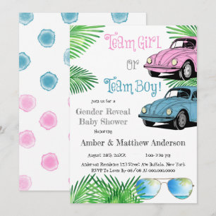 Team Girl Team Boy Car Gender Reveal Baby Shower 