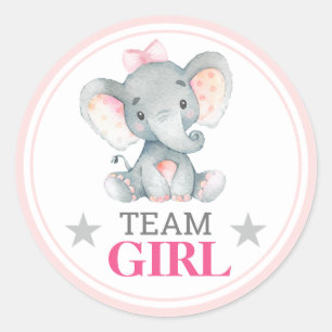 Team Girl Vote Gender Reveal Baby Shower Sprinkle Classic Round Sticker