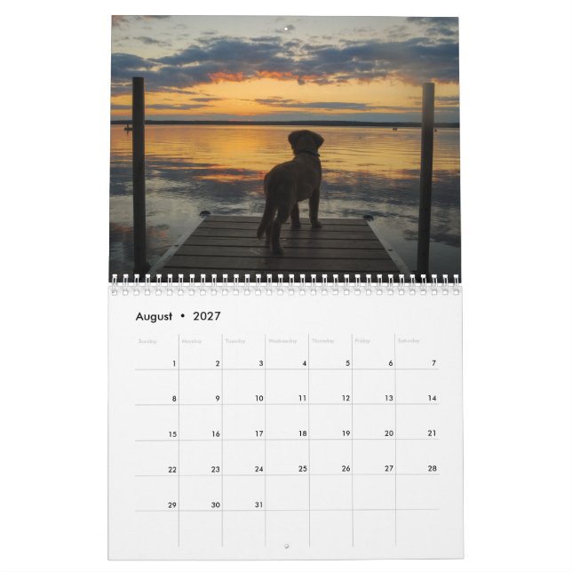 Team Joey Jax 2016 Calendar (Aug 2027)