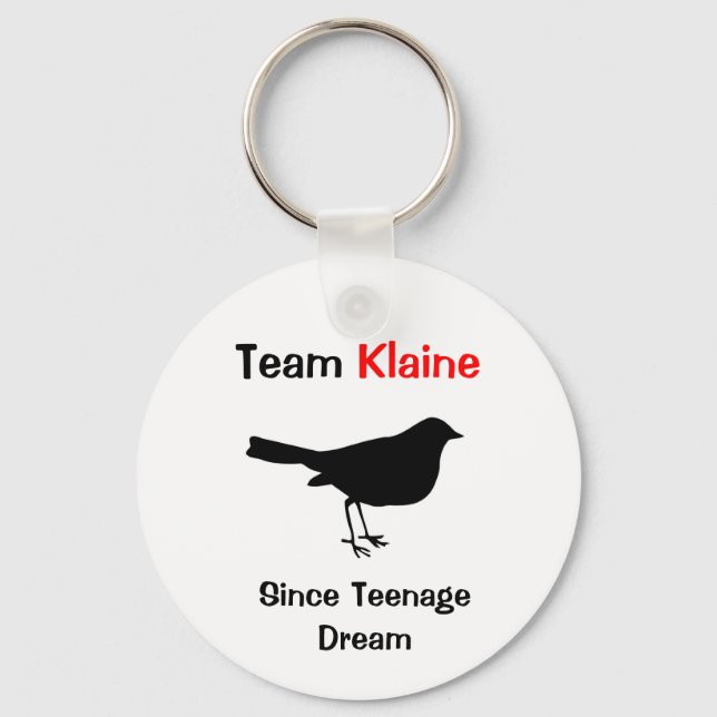 Team Klaine Key Ring (Front)