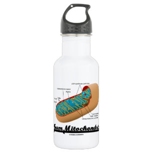 Team Mitochondria (Mitochondrion Humour) 532 Ml Water Bottle