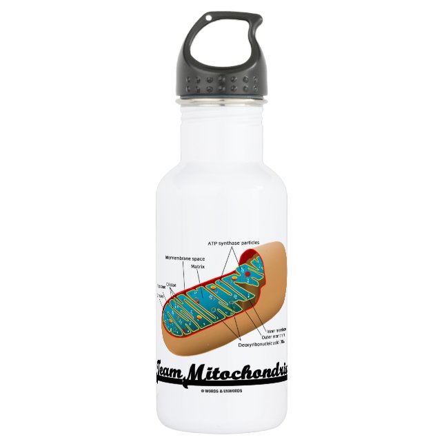 Team Mitochondria (Mitochondrion Humour) 532 Ml Water Bottle (Front)