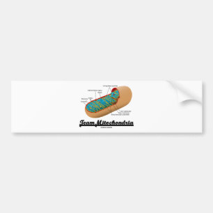 Team Mitochondria (Mitochondrion Humour) Bumper Sticker