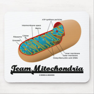 Team Mitochondria Mitochondrion Humour Mouse Pad