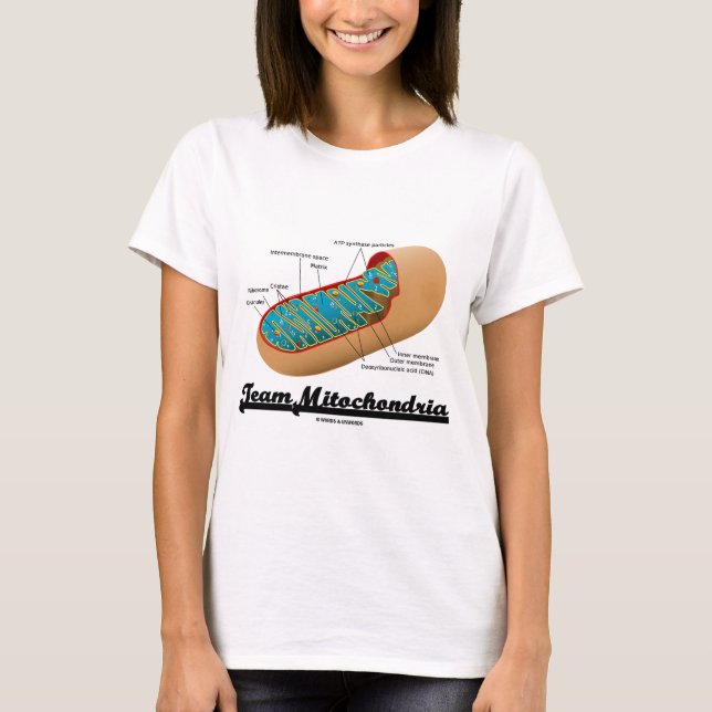 Team Mitochondria (Mitochondrion Humour) T-Shirt (Front)