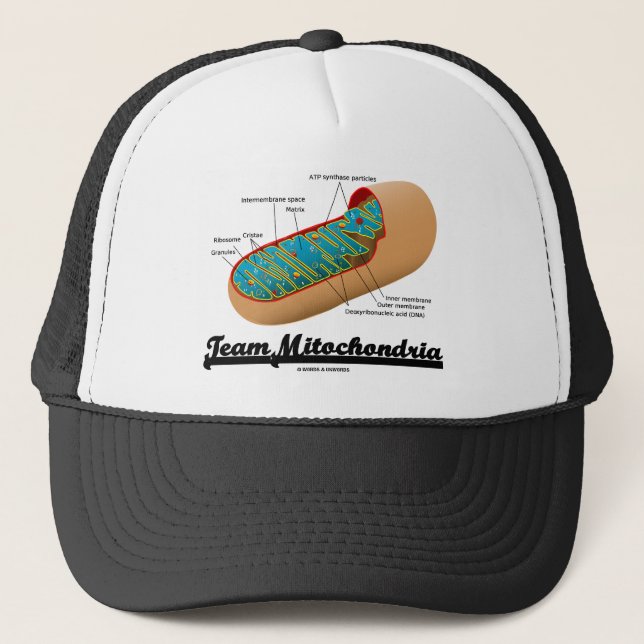 Team Mitochondria (Mitochondrion Humour) Trucker Hat (Front)