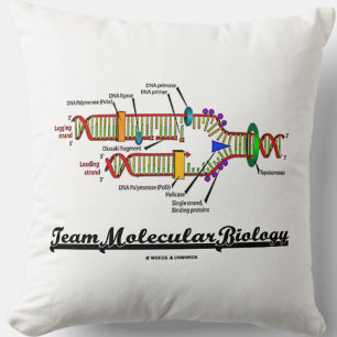 Team Molecular Biology (DNA Replication) Cushion
