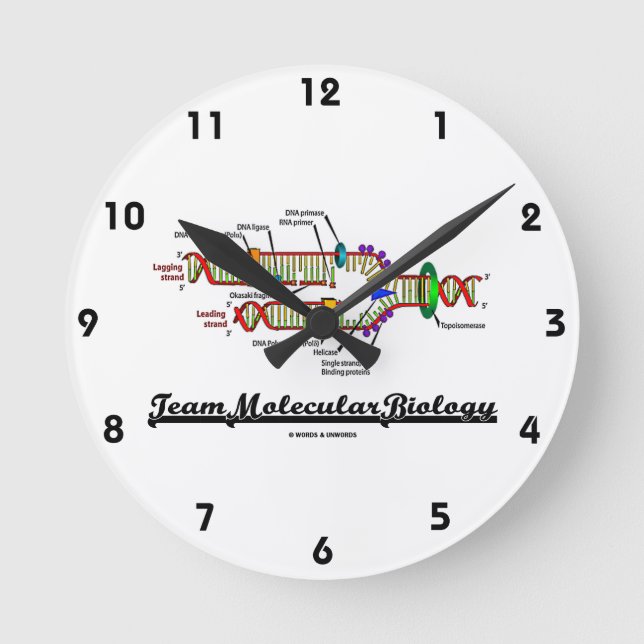 Team Molecular Biology (DNA Replication) Round Clock (Front)