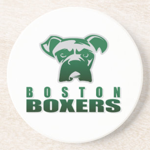 Team Name 04 Coaster