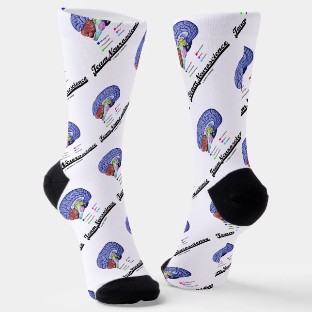Team Neuroscience Brain Anatomy Attitude Socks (Angled)