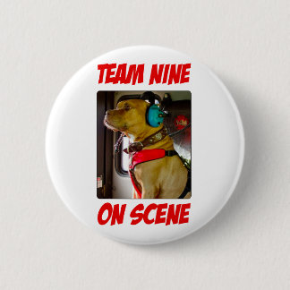 Team Nine On Scene Button