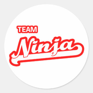 Team Ninja Classic Round Sticker