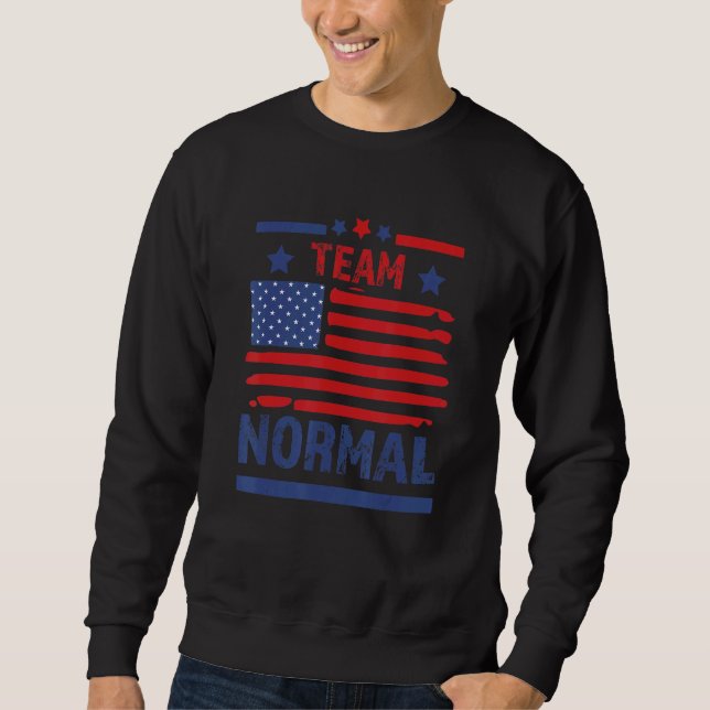 Team Normal Patriotic Usa American Flag Sweatshirt (Front)