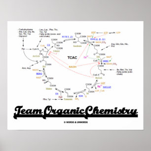 Team Organic Chemistry (Krebs Cycle TCAC) Poster