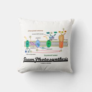Team Photosynthesis Light-Dependent Reactions Cushion